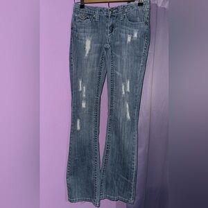Y2K Flying Monkey Blue Distressed Boot Cut Jeans